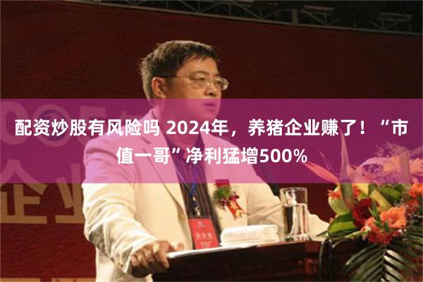 配资炒股有风险吗 2024年，养猪企业赚了！“市值一哥”净利猛增500%