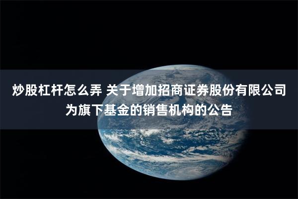 炒股杠杆怎么弄 关于增加招商证券股份有限公司为旗下基金的销售机构的公告