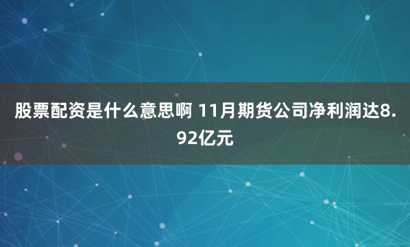 股票配资是什么意思啊 11月期货公司净利润达8.92亿元