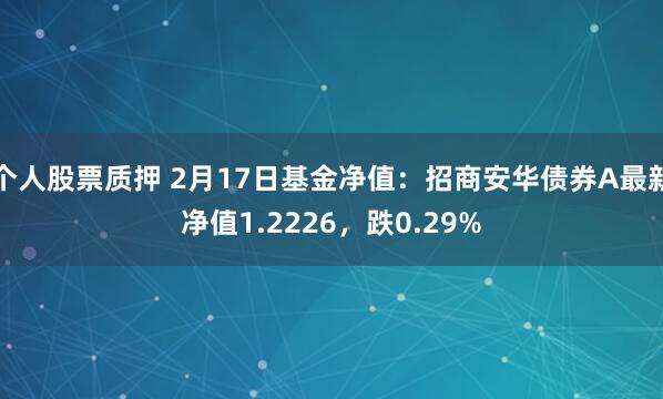 个人股票质押 2月17日基金净值：招商安华债券A最新净值1.2226，跌0.29%